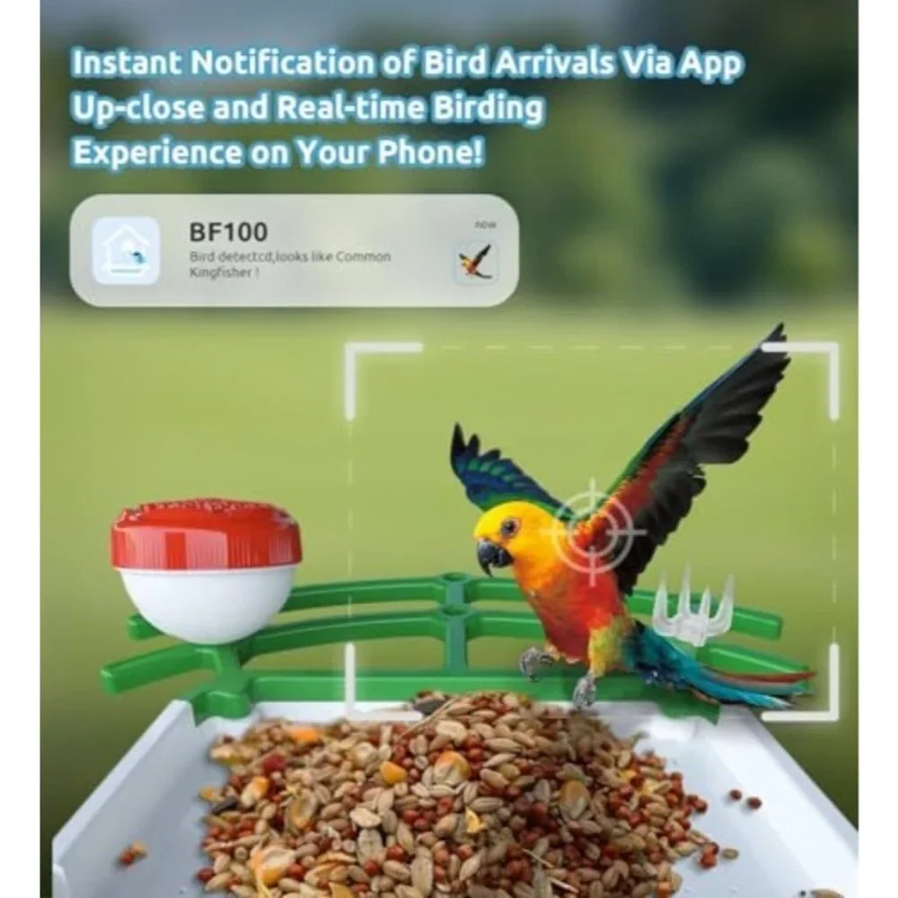 Smart Bird Feeder with Camera, 2K Live View AI Identify Birds Species with Solar